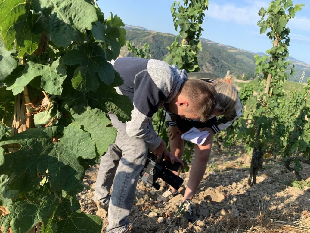 réalisateur de film sur le vin sud de la France