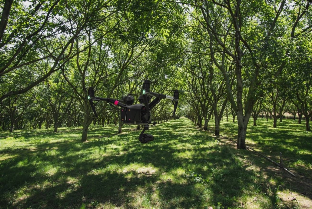 prestation drone sud de la france