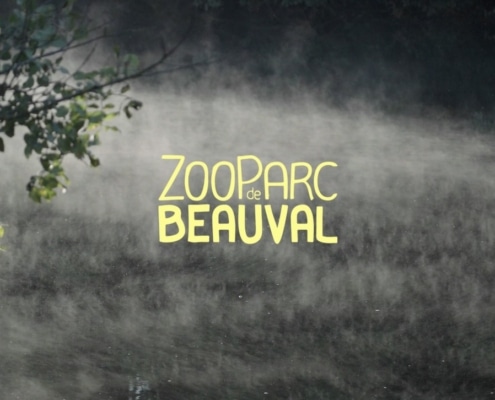 entreprise de vidéo pour le zoo parc de beauval