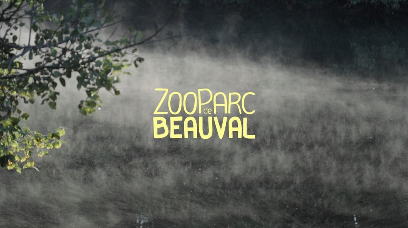 Tournage vidéo au zoo de Beauval