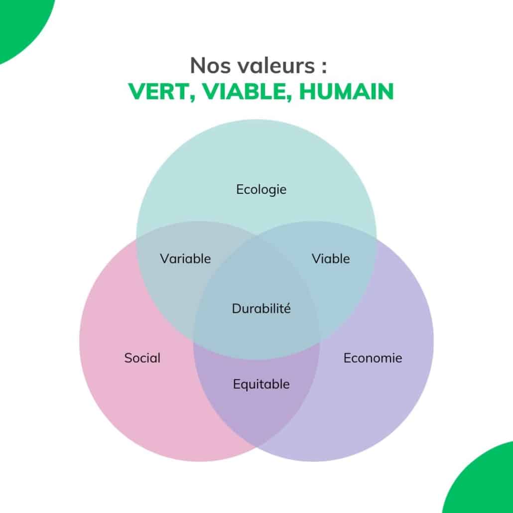 infographie sur nos valeurs écologie, viable, humain