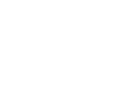 Armée de Terre